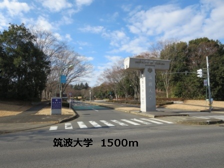 University ・ Junior college. University of Tsukuba (University ・ 1500m up to junior college)