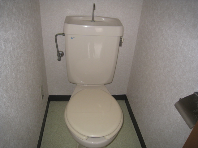 Other. Toilet