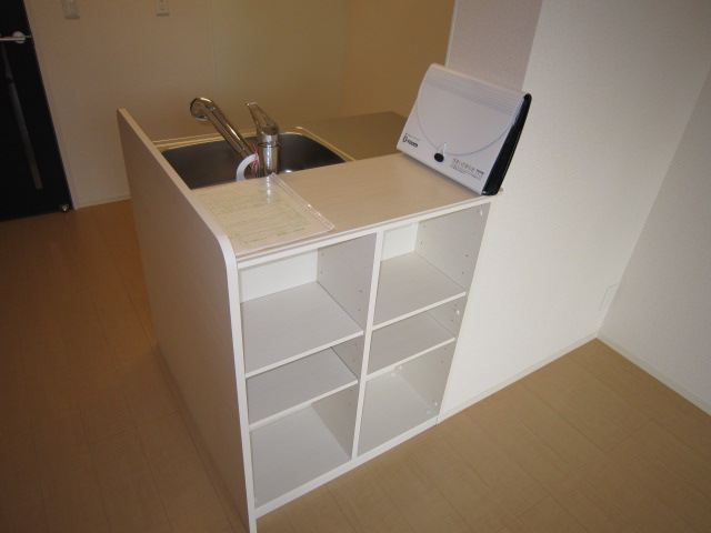 Other. Stylish display with storage of living