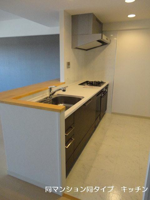Kitchen. The apartment of the same type