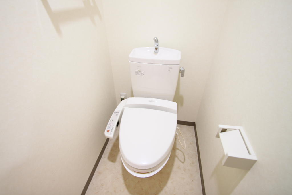 Toilet. With a convenient shelf