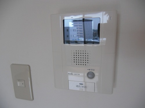 Security. The face of the visitors looks of relief TV Intercom