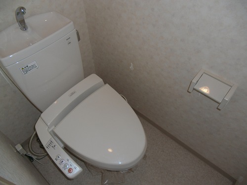 Toilet. Bidet function toilet