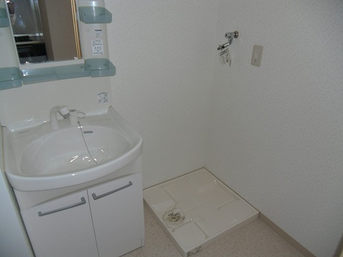 Washroom. Shampoo dresser