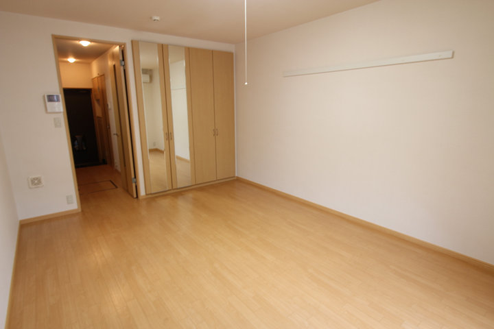 Living and room. Full-length mirror with closet