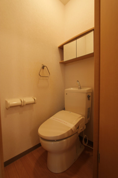 Toilet. In the mirror with storage, Also point where you can be stored without showing the paper