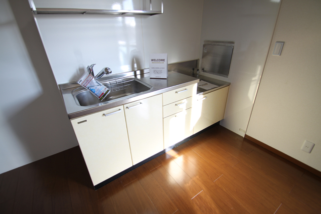 Kitchen. Kitchen