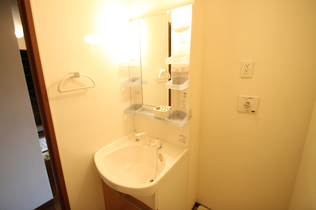 Washroom. A shower wash basin