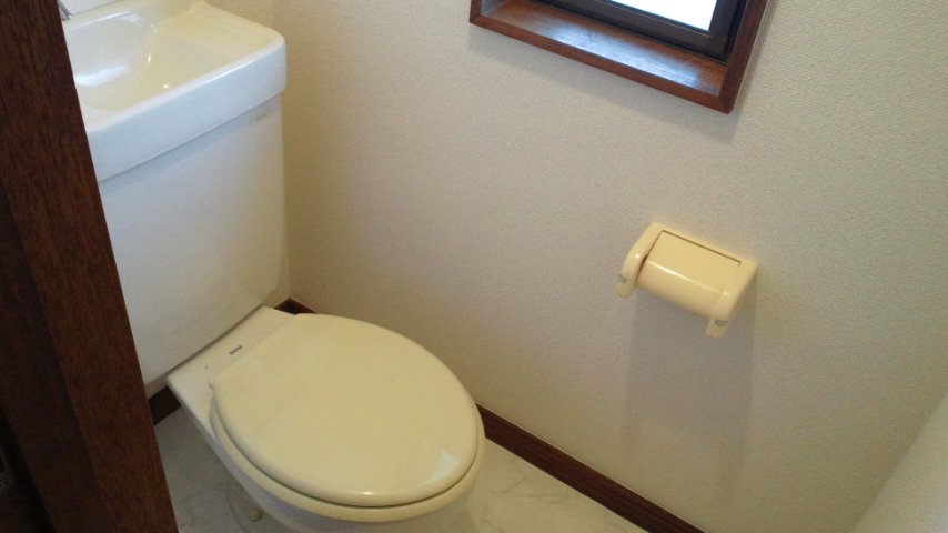 Toilet. Photo is a thing of the inversion of the same type. 