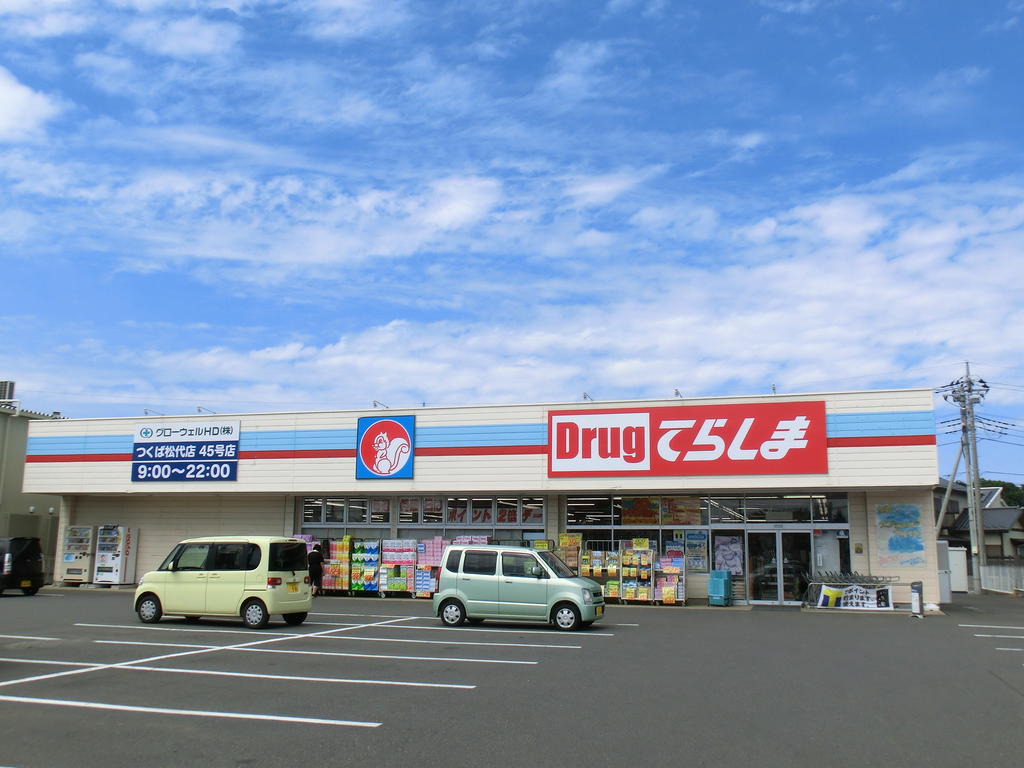 Dorakkusutoa. Drag Terashima Tsukuba Matsushiro shop 1128m until (drugstore)
