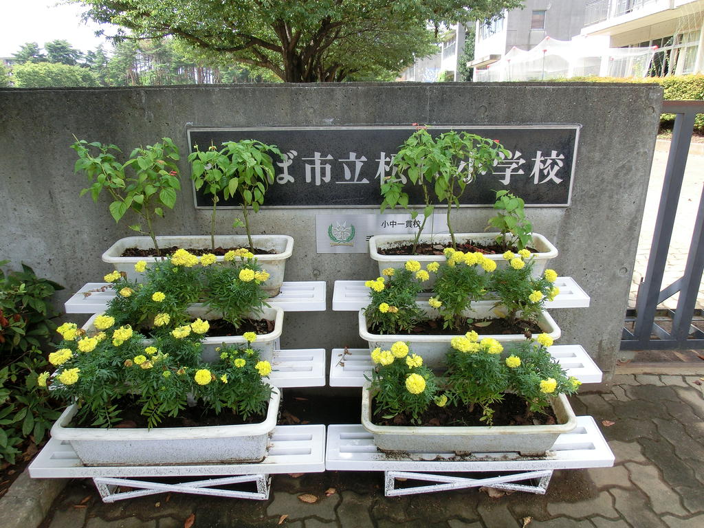 Primary school. 900m to Tsukuba Municipal Matsushiro elementary school (elementary school)