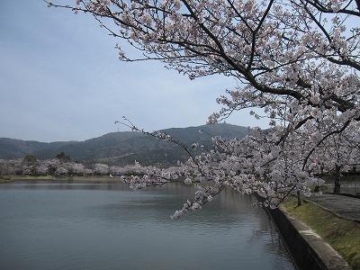 park. Hojo until Oike 7000m