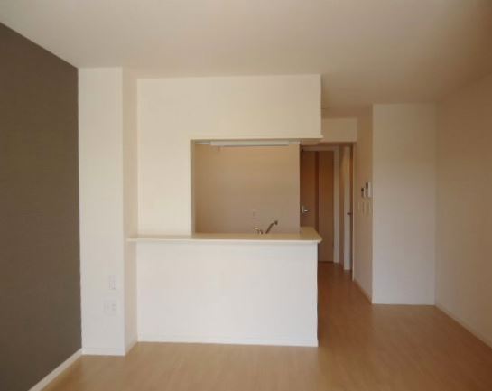 Living and room. Counter Kitchen Living