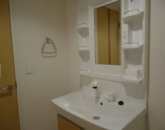 Washroom. Washbasin with shower