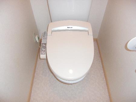 Toilet. Washlet equipped