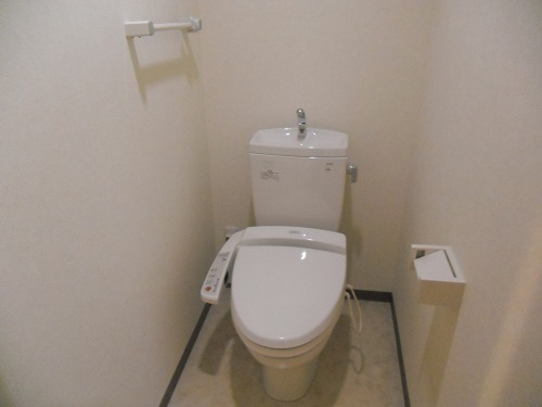 Toilet. Bidet with toilet