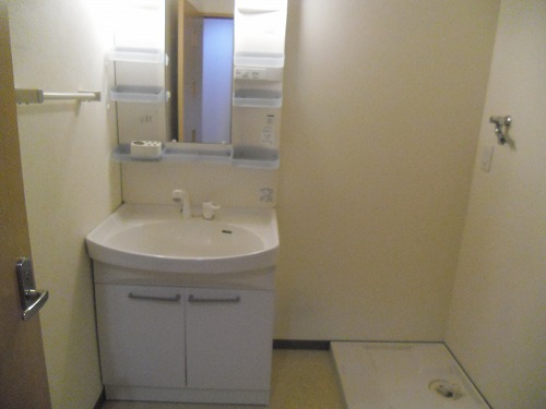 Washroom. Shampoo dresser