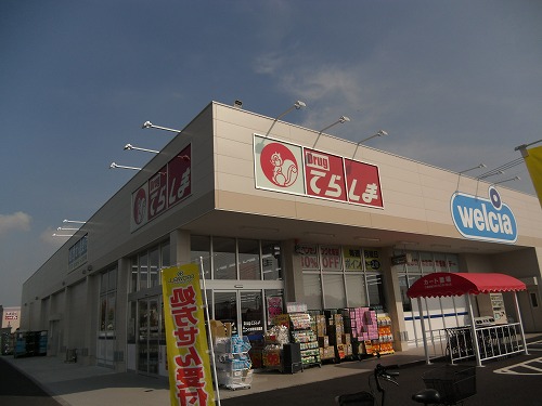 Dorakkusutoa. Drag Terashima Tsukuba Science shop 972m until (drugstore)