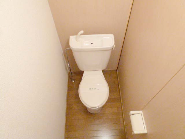 Toilet. Separated toilet