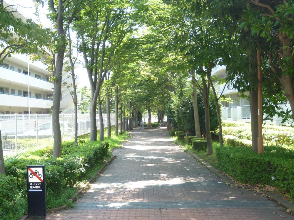 Other. Walk from here, You get to before the schoolyard of the school Kasuga