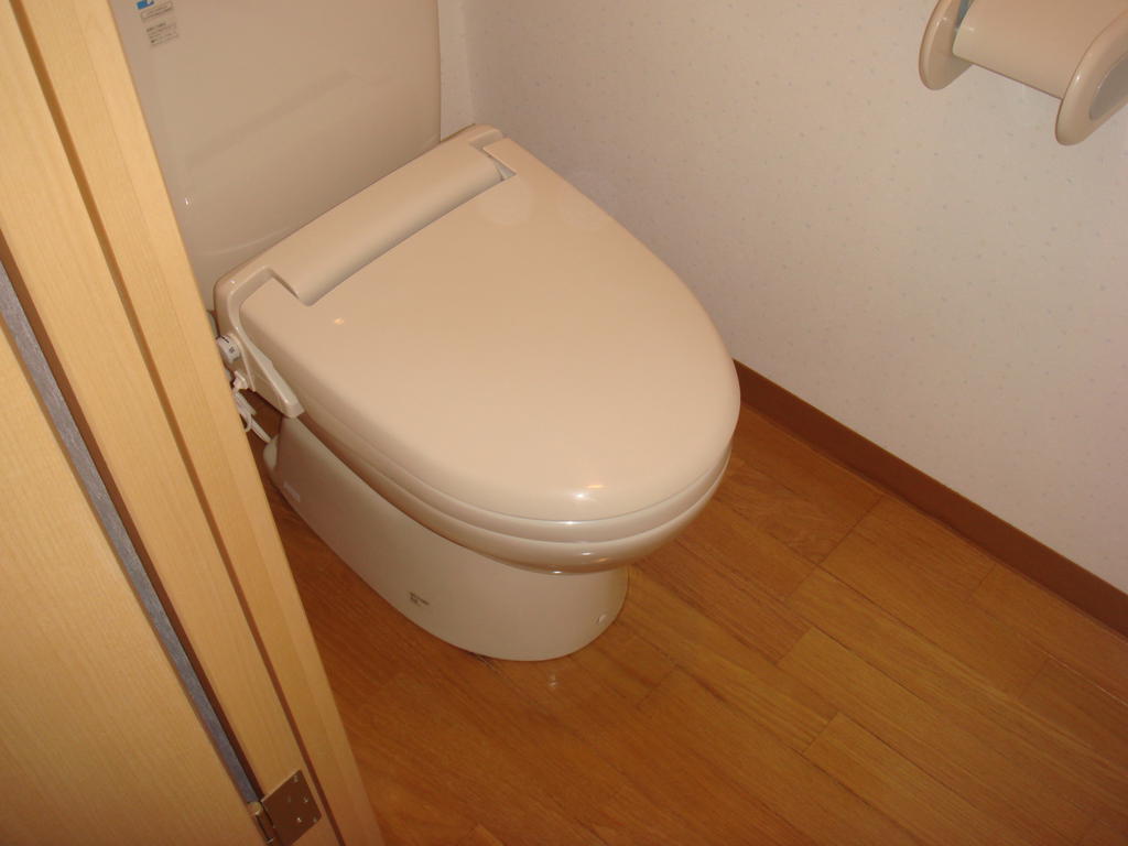 Toilet. Heating toilet seat