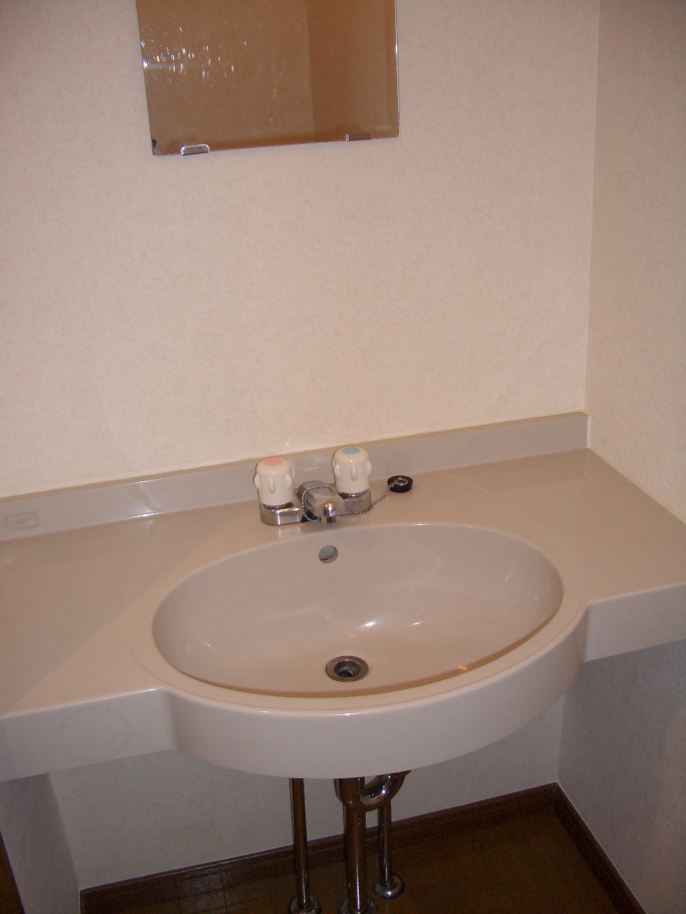 Other. Also it has a wash basin in the toilet space.