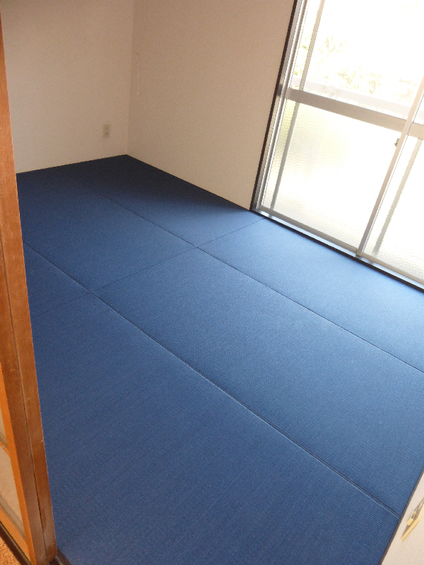 Other room space. Color tatami