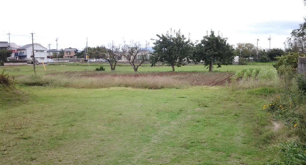 Local land photo