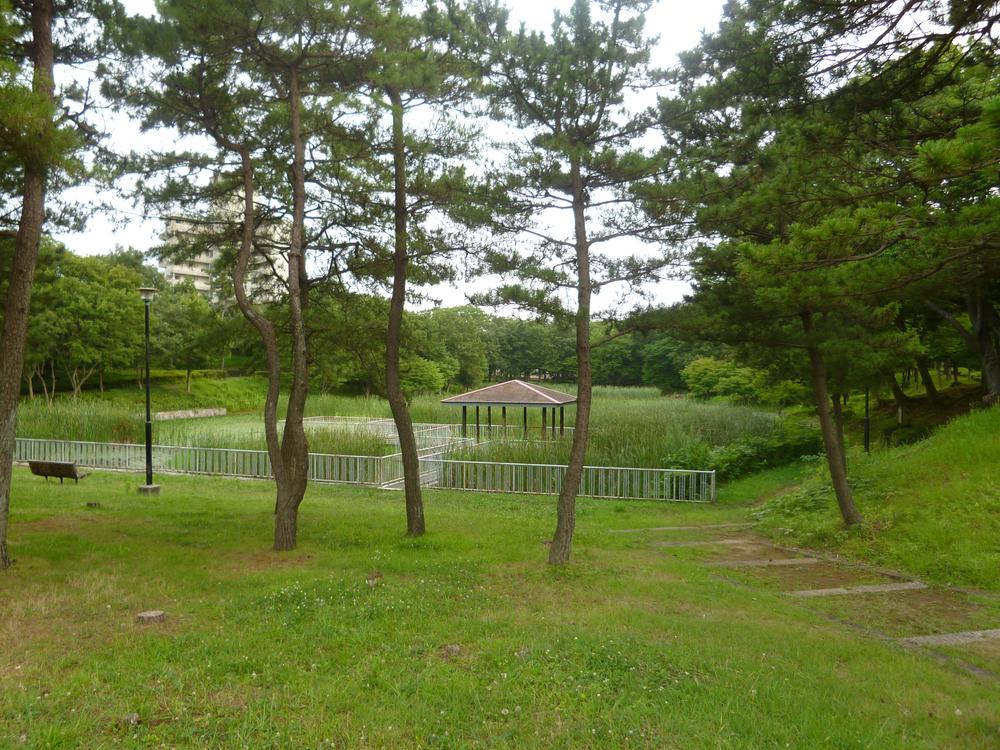 park. Tree-lined park
