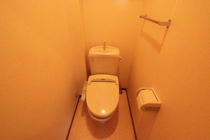 Toilet. Shower toilet