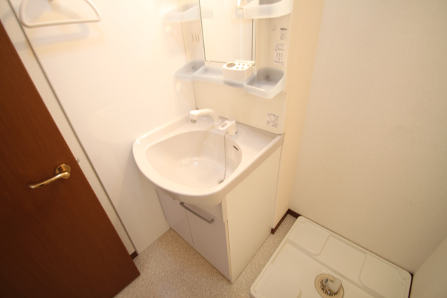 Washroom. A shower wash basin