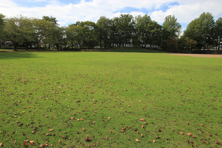park. Hanari 560m to the park (park)