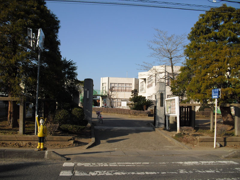 Primary school. 843m to Tsukuba City TatsuSakae elementary school (elementary school)