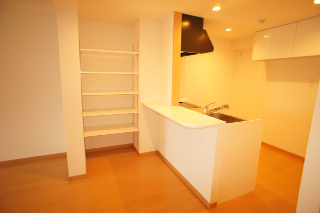 Kitchen. Stylish with storage of counter kitchen