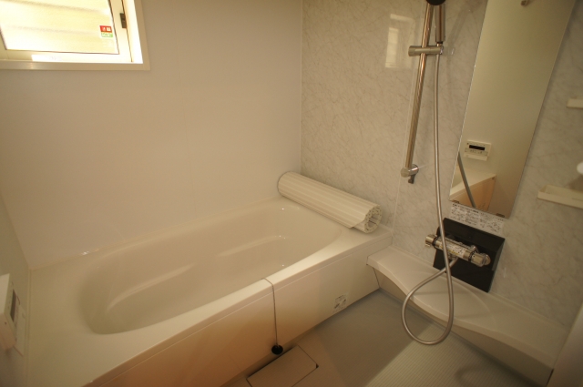 Bath. Bathroom Dryer & chase with burning hot water bath