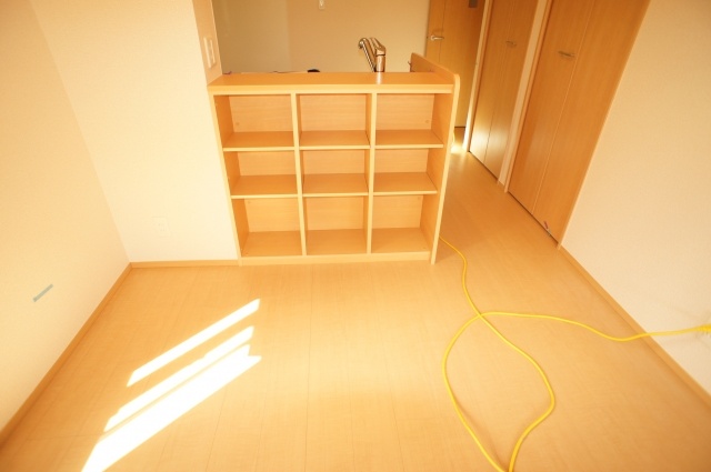 Living and room. Display with storage