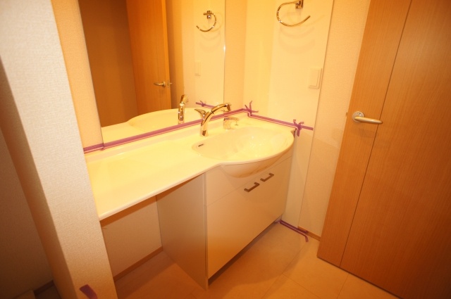 Washroom. Spacious wash basin with shower