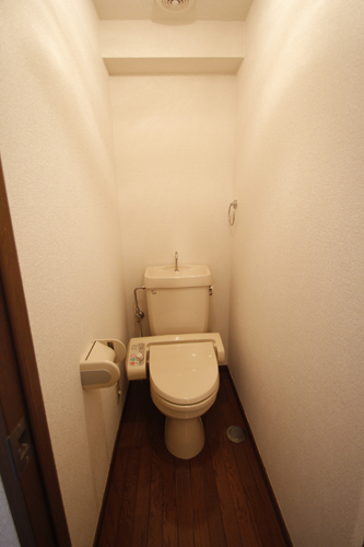 Toilet. With warm water washing toilet seat, A comfortable toilet time. 