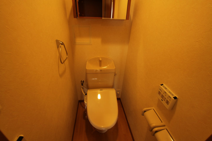 Toilet. Toilet seat goes up automatically when entering the toilet! 