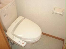 Toilet. With warm water washing toilet seat. There is a shelf in the upper. 