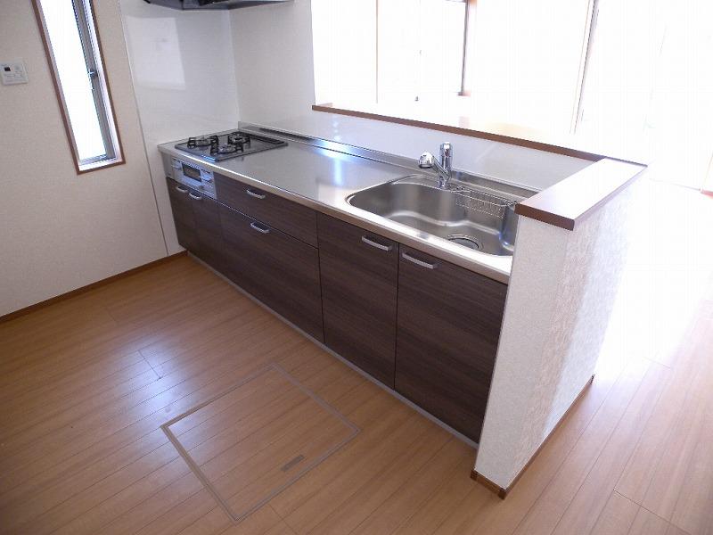 Kitchen. Indoor (10 May 2013) Shooting