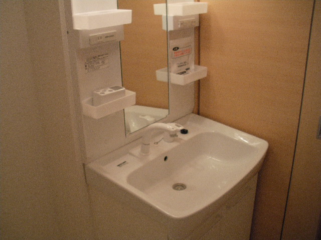 Washroom. A shower wash basin