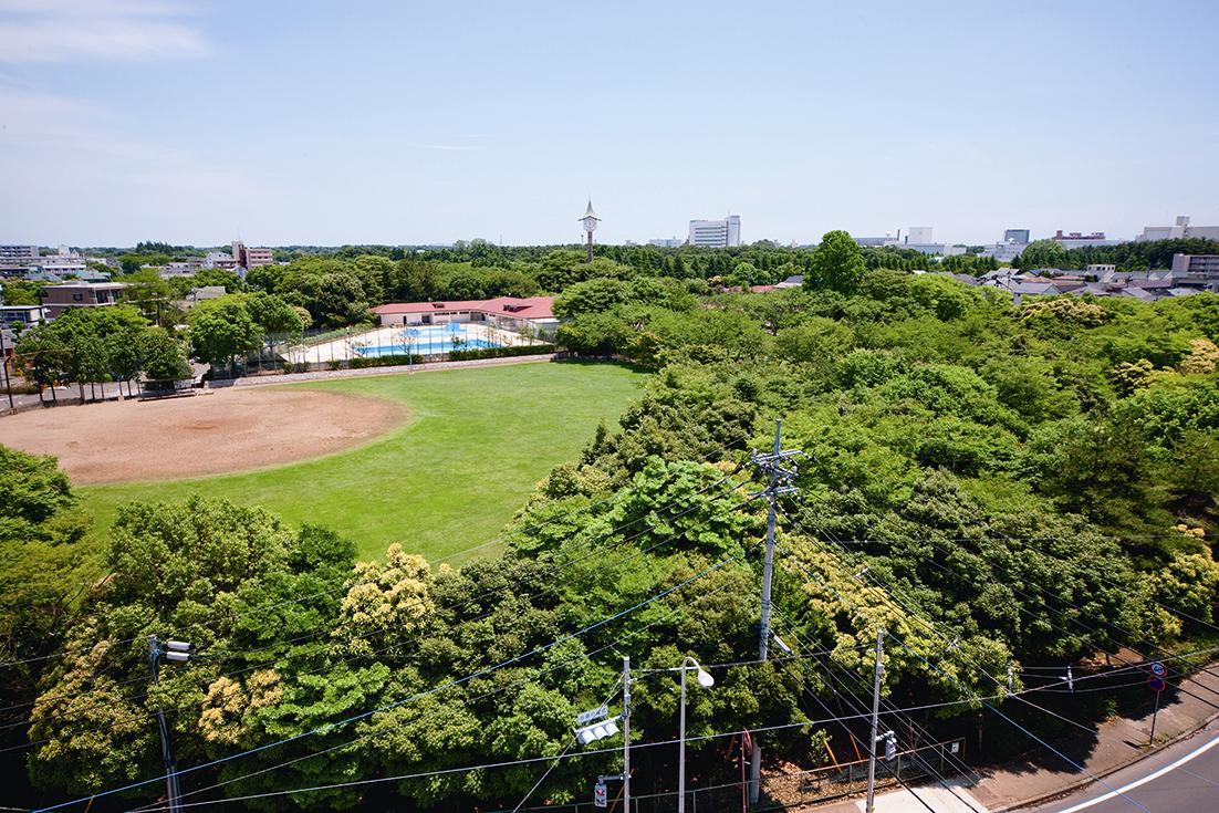View. Ninomiya park (view from the upper floors balcony)