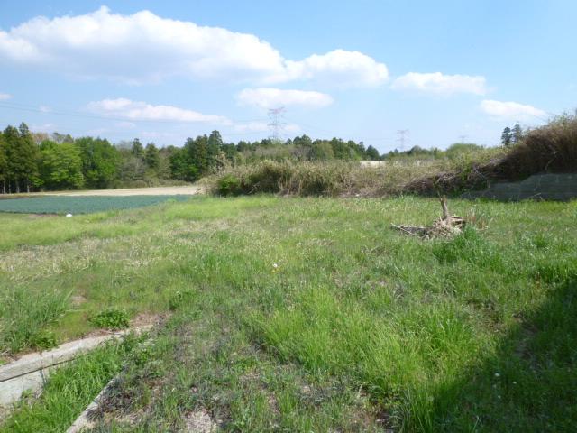 Local land photo