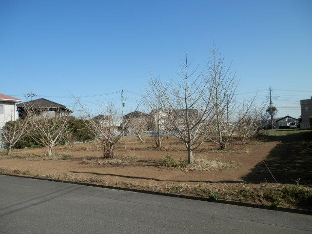 Local land photo. Current, Chestnut is a field.