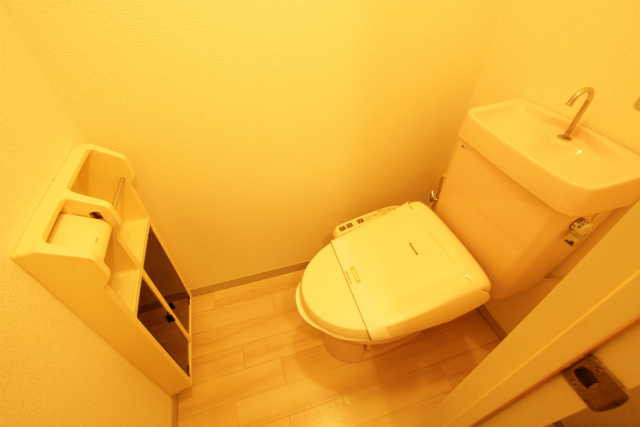 Toilet. It will be in the same building a separate room in the photograph