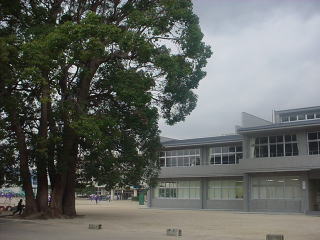 Primary school. Ozone until the elementary school (elementary school) 1200m