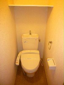 Toilet. Toilet space is taken widely. 