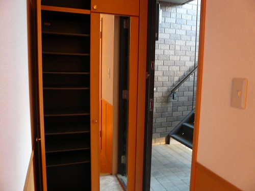 Entrance. Full-length mirror mirror with a large shoe box