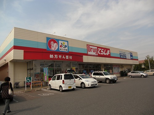 Dorakkusutoa. Drag Terashima Tsukuba Toyosato shop 1937m until (drugstore)